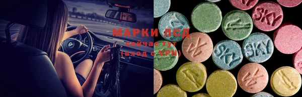 гашик Володарск
