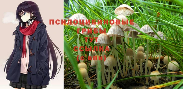 гашик Володарск